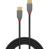 CABLE USB2 TYPE C 1M ANTHRA 36871 LINDY