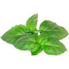 Click & Grow Smart Garden refill Marseille Basil 3pcs