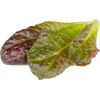 Click & Grow Smart Refill Red romaine lettuce 3pcs