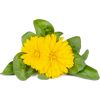Click & Grow Smart Refill Marigold 3pcs