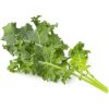 Click & Grow Smart Refill Green Kale 3pcs