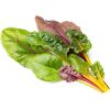 Click & Grow Smart Refill Пестрый мангольд 3 шт.