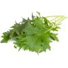 Click & Grow Smart Refill Mizuna 3 шт.