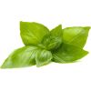 Click & Grow Smart Refill Lemon Basil 3pcs