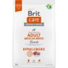 BRIT Care Hypoallergenic Adult Medium Breed Lamb - dry dog food - 3 kg