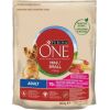 PURINA One Mini Adult Beef, Rice - Dry Dog Food - 800 g