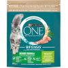 PURINA One Bifensis Adult Indoor - dry cat food - 800 g