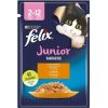 Purina Felix Fanstastic Junior - wet cat food - 85 g