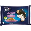 Purina Felix Fantastic Junior rural flavors in jelly - chicken, salmon - 340g (4x 85 g)