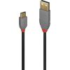 CABLE USB2 C-A 1M/ANTHRA 36886 LINDY