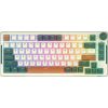 Wireless mechanical keyboard Royal Kludge RKH81 RGB, Sky cyan switch (green)