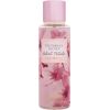 Victorias Secret Velvet Petals / Cashmere 250ml