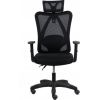 Krzesło biurowe Gembird GEMBIRD BIUROWY FOTEL ERGONOMICZNY ONYX CZARNY