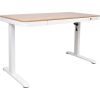 Письменный стол ERGO с 1 мотором 120x60xH72-121см, белый/дуб