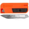 Asmens Gerber Vital 31-002739; 12 gab.