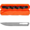 Asmens Gerber Vital