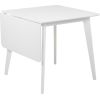 Edamistabas galds ROXBY 80/120x80xH76cm, balts