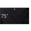Monitor Avtek DS 75' (1TV315)