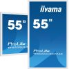 Monitor iiyama ProLite TF5539UHSC-W1AG
