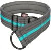 Trixie Fusion, obroża zaciskowa, dla psa, grafit/morski błękit, taśma parciana, L–XL: 48–58 cm/50 mm