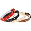 Dino Obroża skórzana z ćwiekami Dino 16mm/40cm czarna