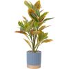 Artificial plant GREENLAND H40cm