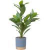 Artificial plant GREENLAND H40cm
