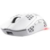 MOUSE USB OPTICAL WRL GXT929W HELOX LIGHTW WHITE 25390 TRUST