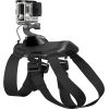 GoPro Fetch (kameras stiprinājums sunim)