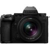 Panasonic Lumix DC-S5 IIX + 50 мм