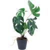 Artificial plant GREENLAND H40cm, Monstera