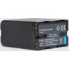 Extradigital Sony, battery BP-U60