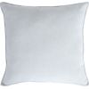 Spilvens LINS 65x65cm, balts