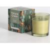 Aromatiska svece stikla NATURE GREEN H9,5cm, Tranquil Summer