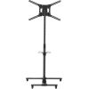 Barkan SW411H 13"-83" TV, pakreipiamas, su lentyna