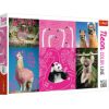 Пазл TREFL Neon Color Line Crazy Animals 1000 шт. 12+ T10594