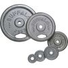 Buffalo Cast -Iron Dumbbell Plates 2x1.25kg svarcelšanas diski (65451)