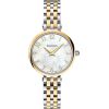 Balmain Sedirea B4292.39.84