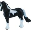 COLLECTA (XL)  Barocka Plankumainais ērz