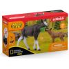 SCHLEICH WILD LIFE Лосенок