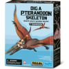 4M Izrakuma komplekts Pteranodons