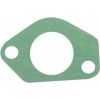 Carburetor Gasket, MTD