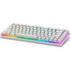 Dell Alienware Pro Wireless Gaming keyboard USB + RF Wireless + Bluetooth White