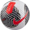 Nike Flight FA23 FB2901-100 football (5)