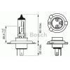 Bosch Spuldze 1 987 302 041