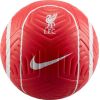 Football Nike Liverpool FC Strike DJ9961-657 (5)