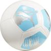 Puma Big Cat football 84214 04 (5)