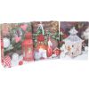 Gift bag SHINE L, 31x42x12cm, mix