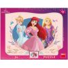 Dino Frame Puzzle 12 pc,Princess