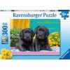 Ravensburger  Puzzle 300 pc Puppies